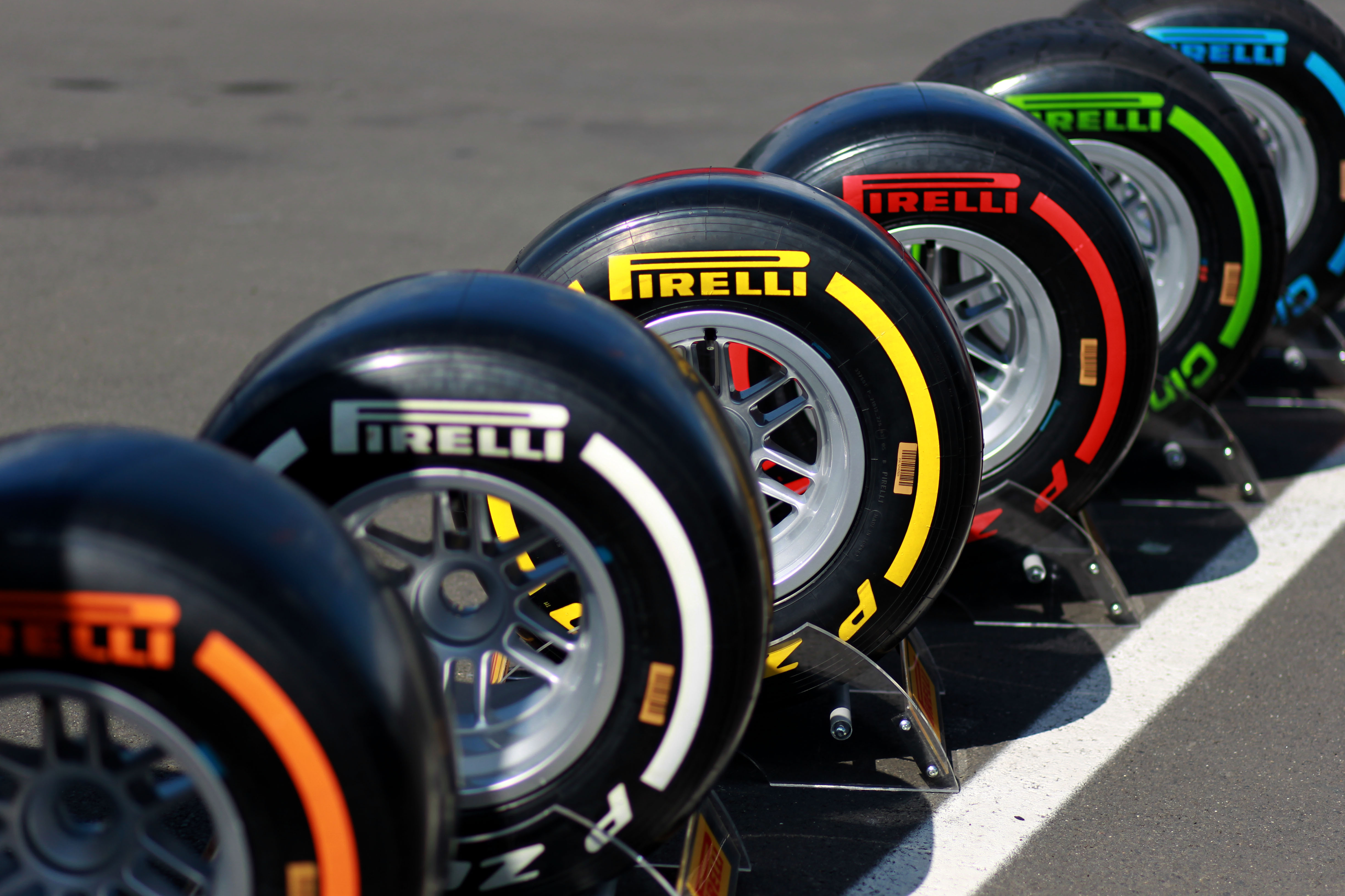 What Does F1 Need?