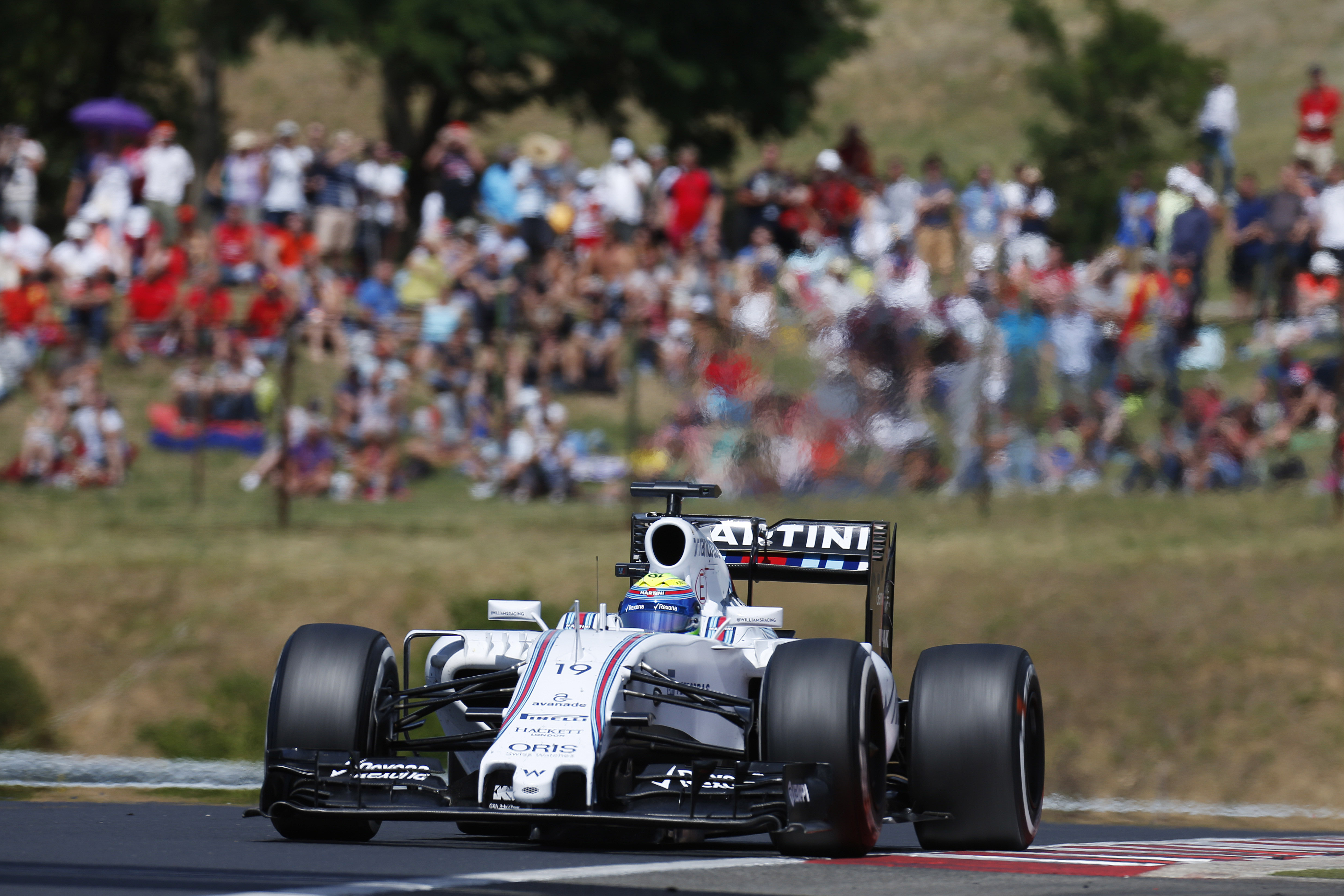 Williams to investigate Massa grid problem